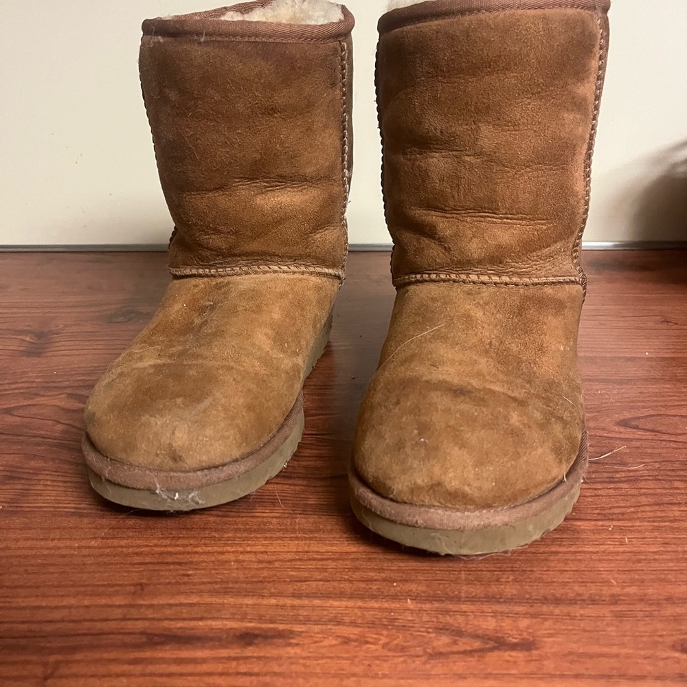 UGG Brown Ankle Boots